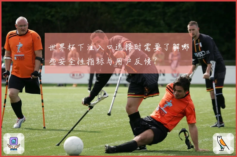 世界杯下注入口选择时需要了解哪些安全性指标与用户反馈？