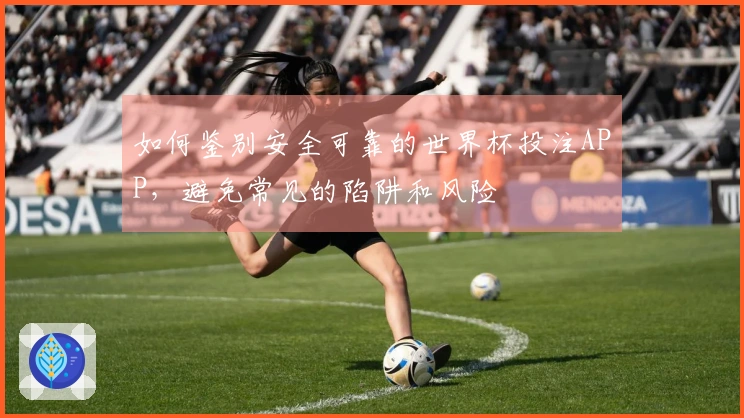 如何鉴别安全可靠的世界杯投注APP，避免常见的陷阱和风险